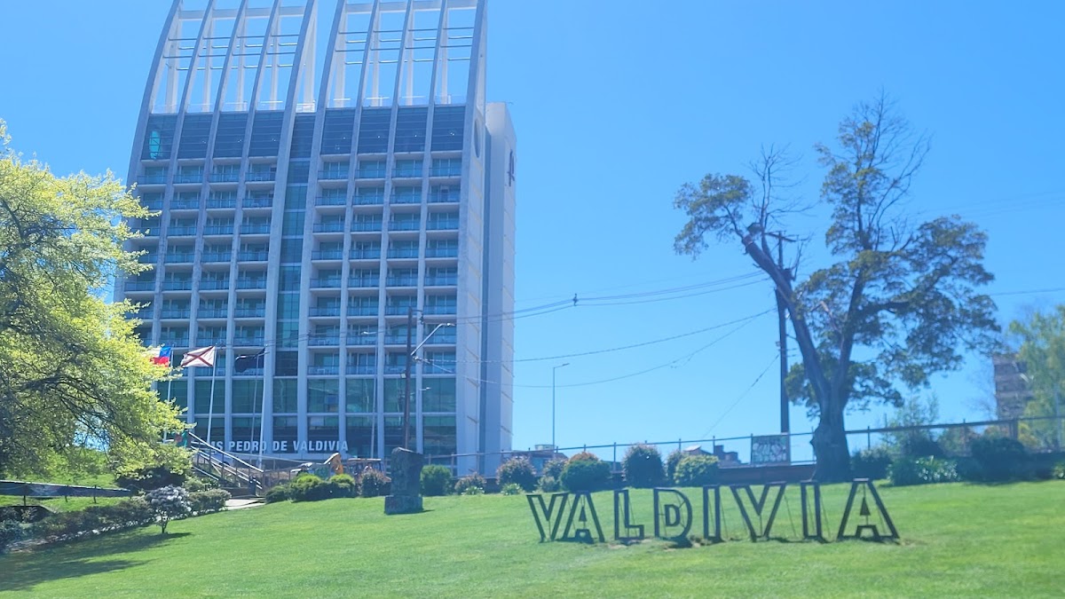 Casino Dreams Valdivia