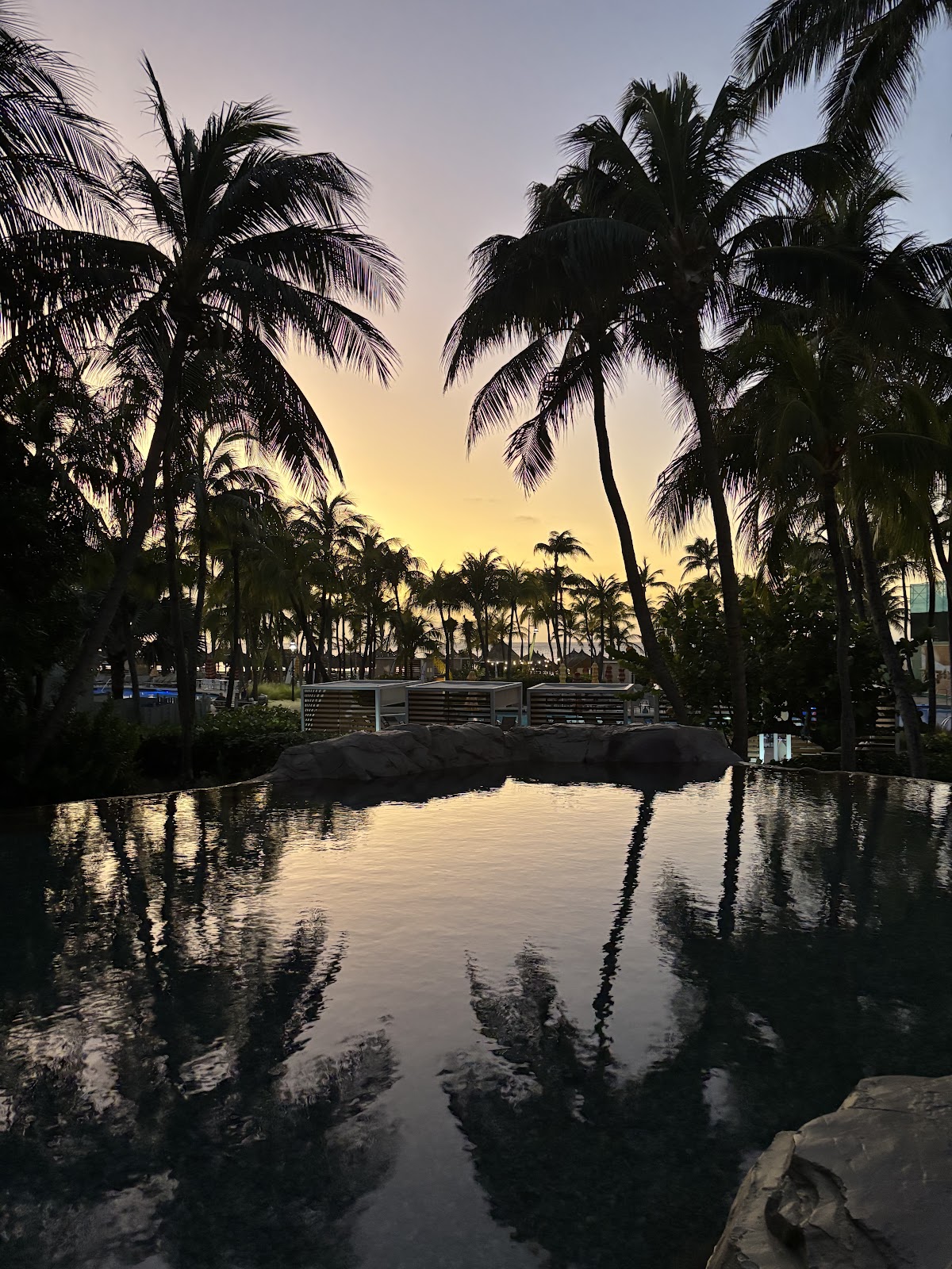 The Casino Aruba at Hilton